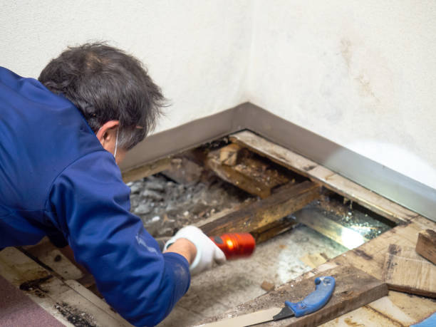 Best Post-Remediation Services in Yeagertown, PA