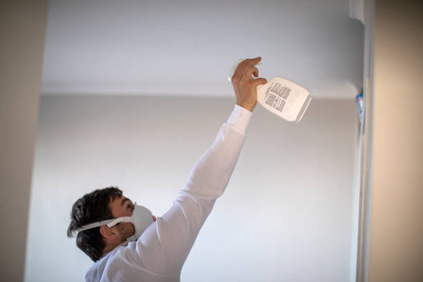 Best Attic Mold Remediation in Yeagertown, PA