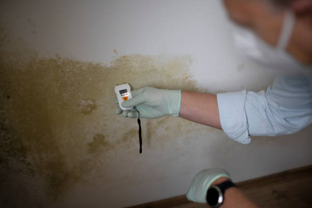 Best Mold Remediation for Schools in Yeagertown, PA